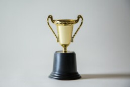 Das Bild zeigt einen unbeschrifteten Pokal auf einem neutralen grauen Hintergrund.
